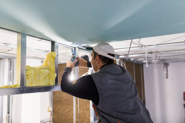 Best Insulation Installation Services in Prague, OK